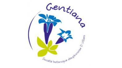 Logo Gentiana