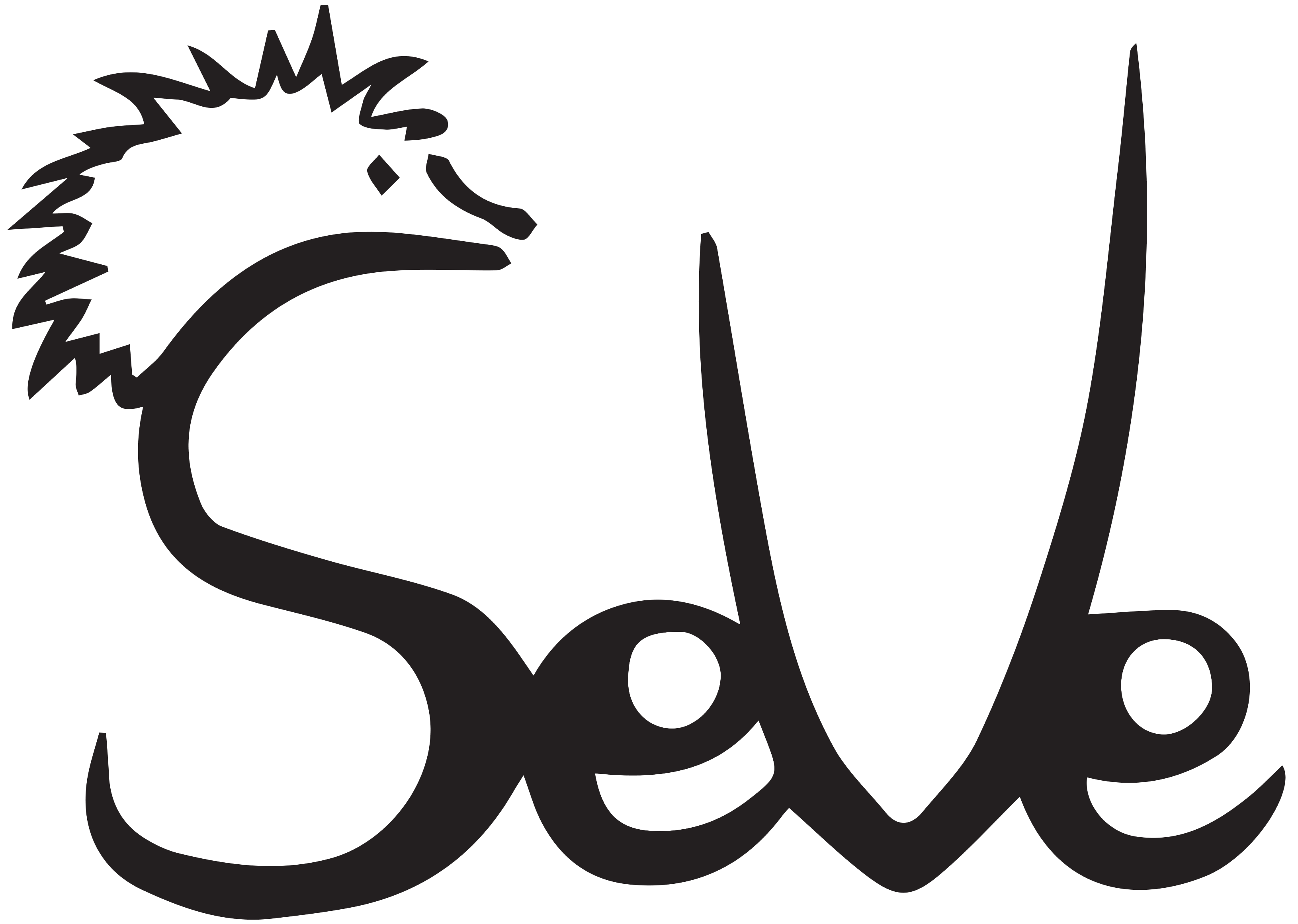Logo de SEVE (Savoirs, Emancipation, Vie Etudiante)