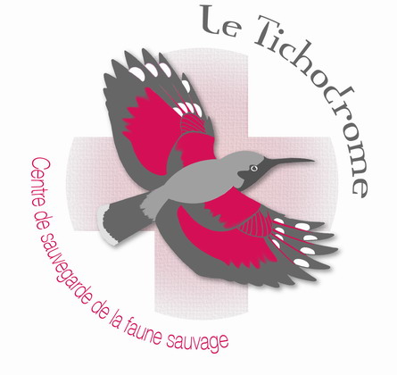 Le Tichodrome