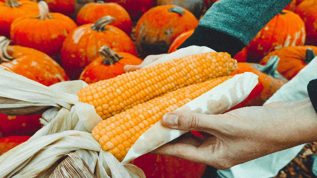 Coop de France accompagne le développement de l&#039;agriculture biologique