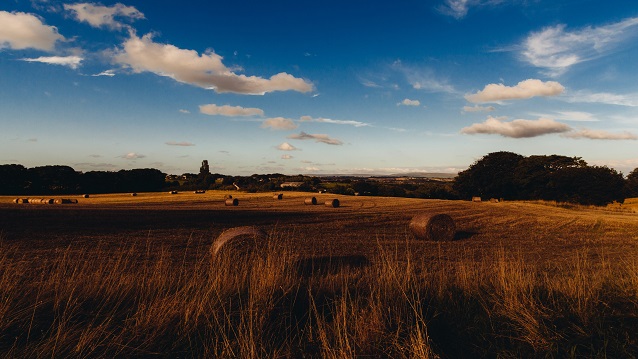 Ruralités : une ambition à partager