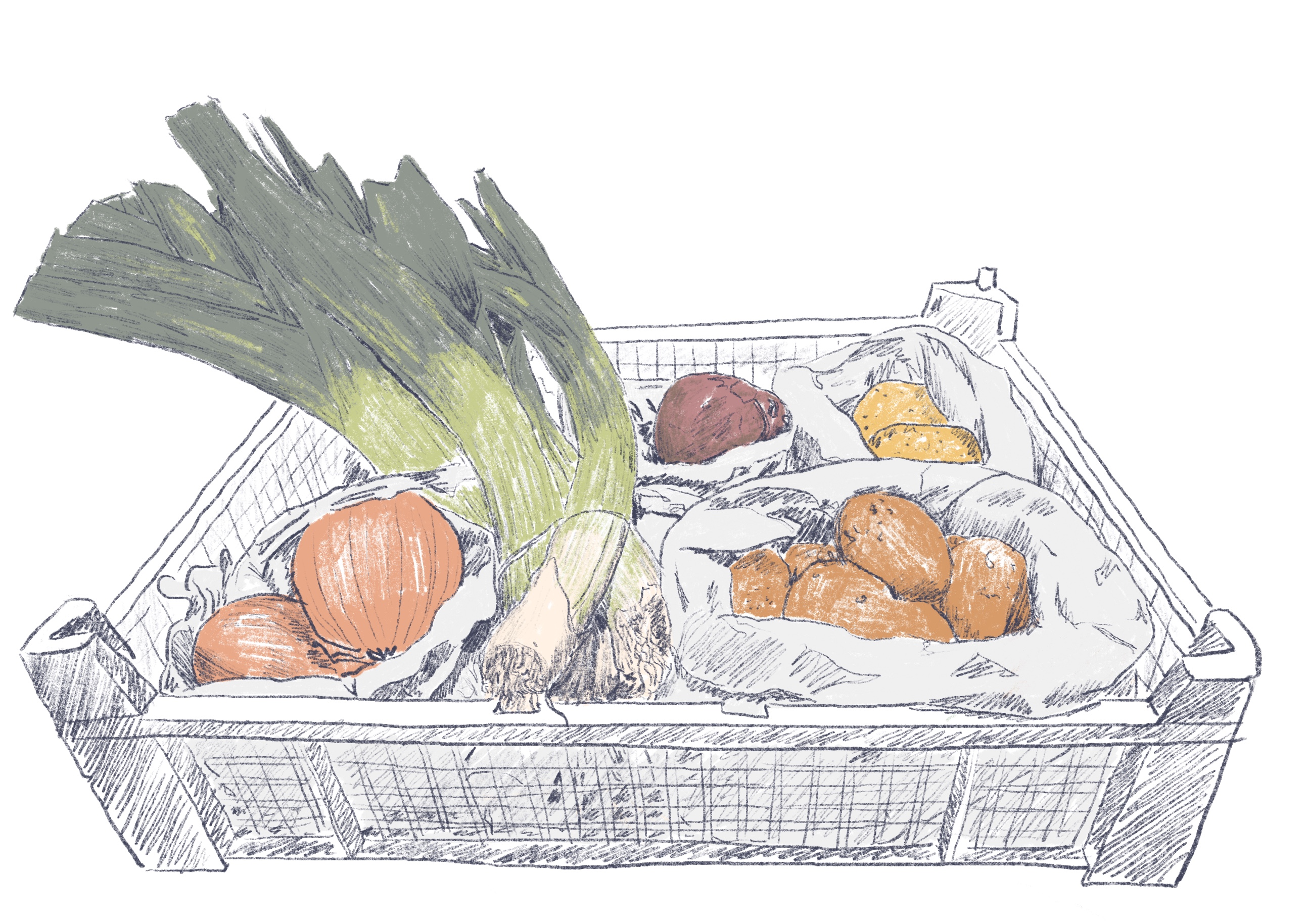 illustration de  Alice Meybeck