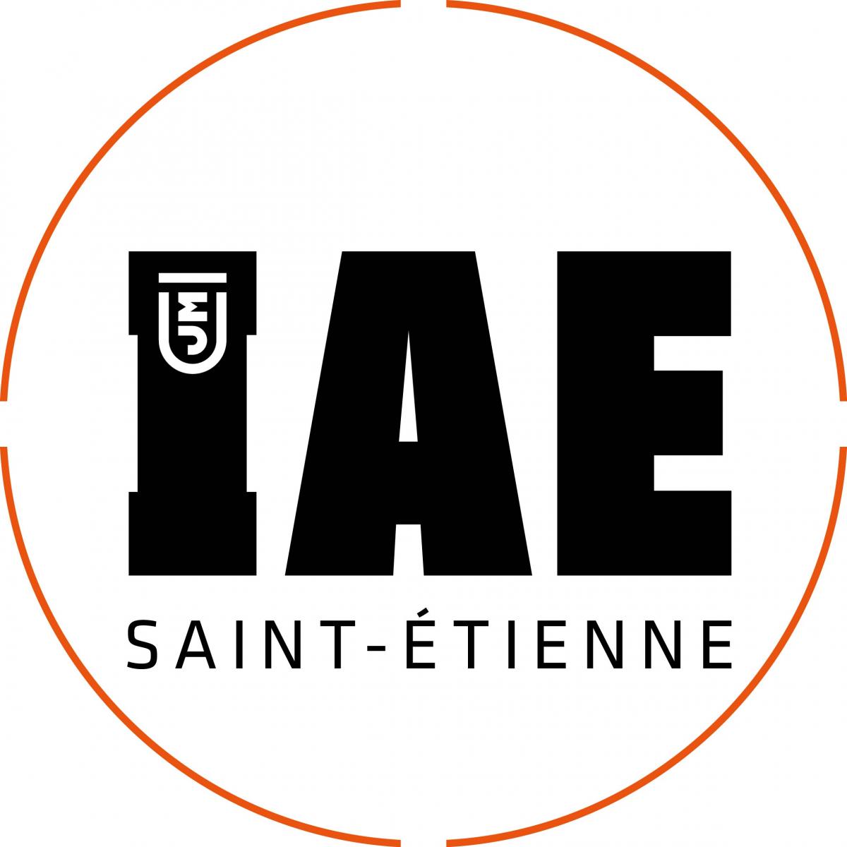iae saint etienne