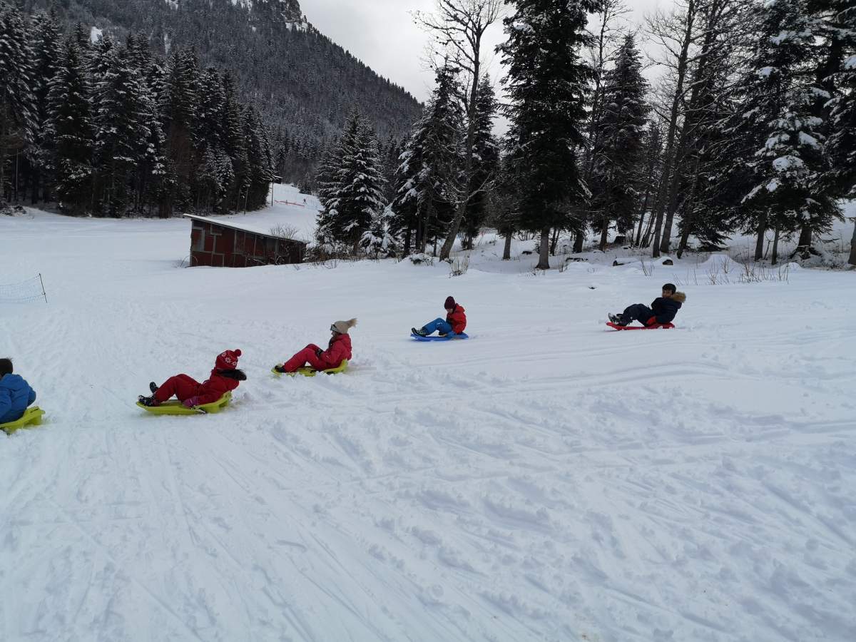 Sortie luge